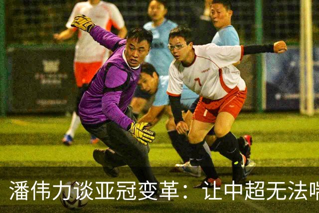 潘伟力谈亚冠变革：让中超无法喘息 球迷不用看了